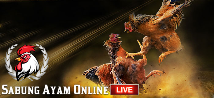 Alasan Permainan Sabung Ayam Online Banyak Diminati