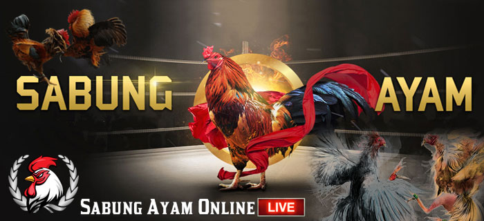 Keuntungan Permainan Sabung Ayam Online